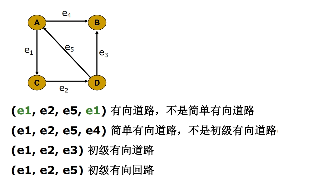 有向道路/回路