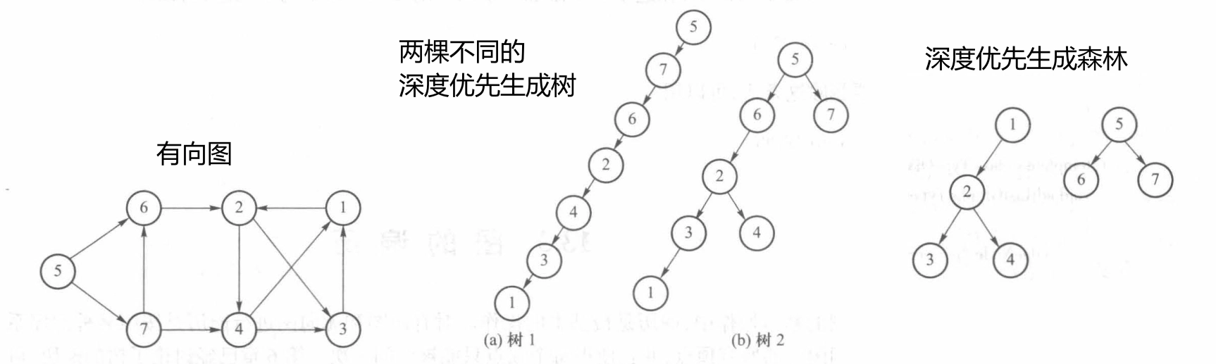 深度优先生成树、森林