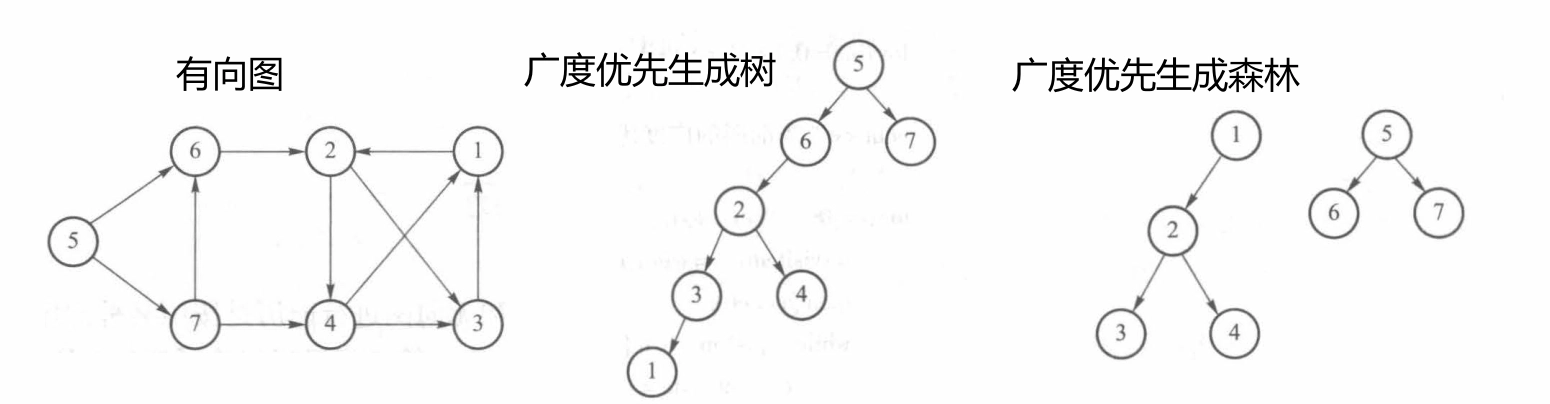 广度优先生成树、森林